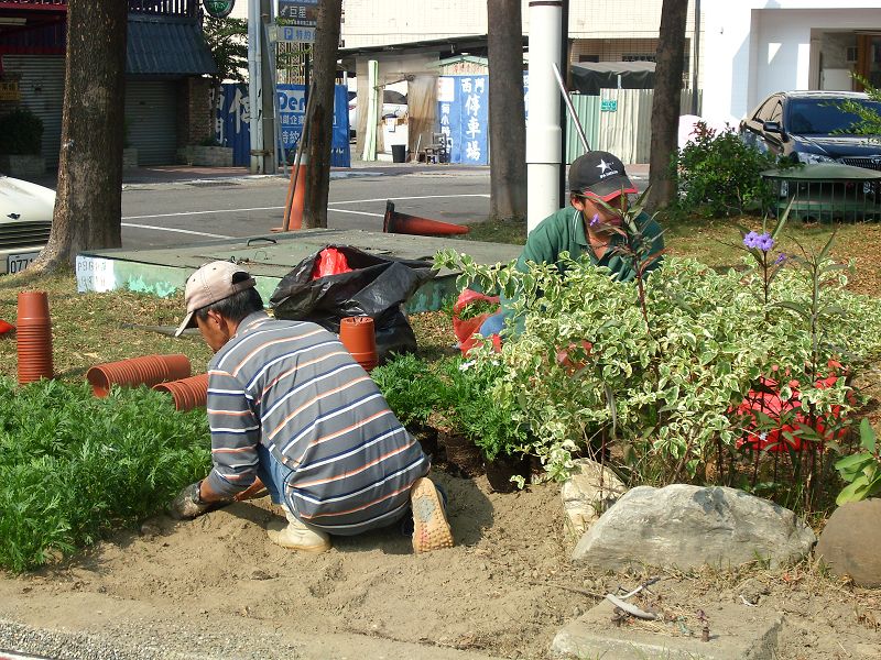 台南園藝整理