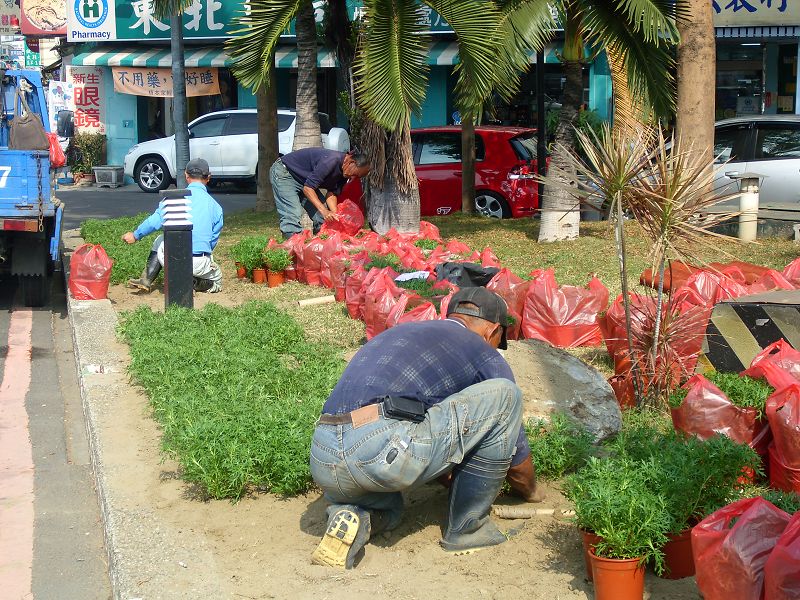 台南園藝整理