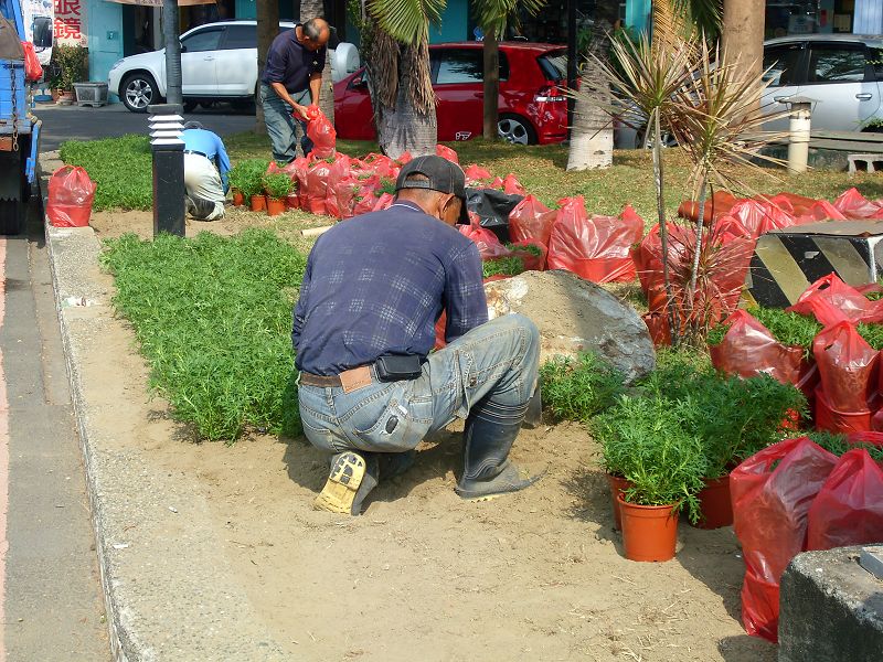 台南園藝整理