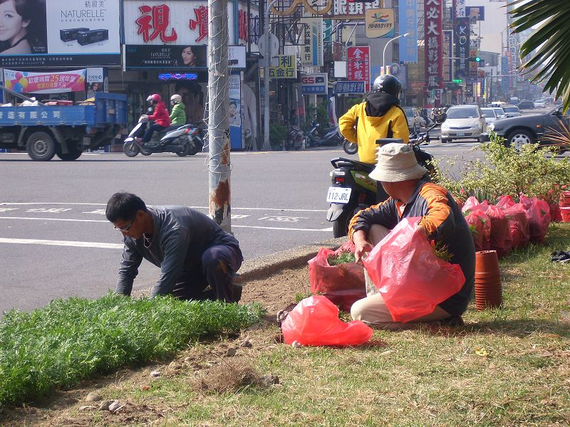 台南園藝整理