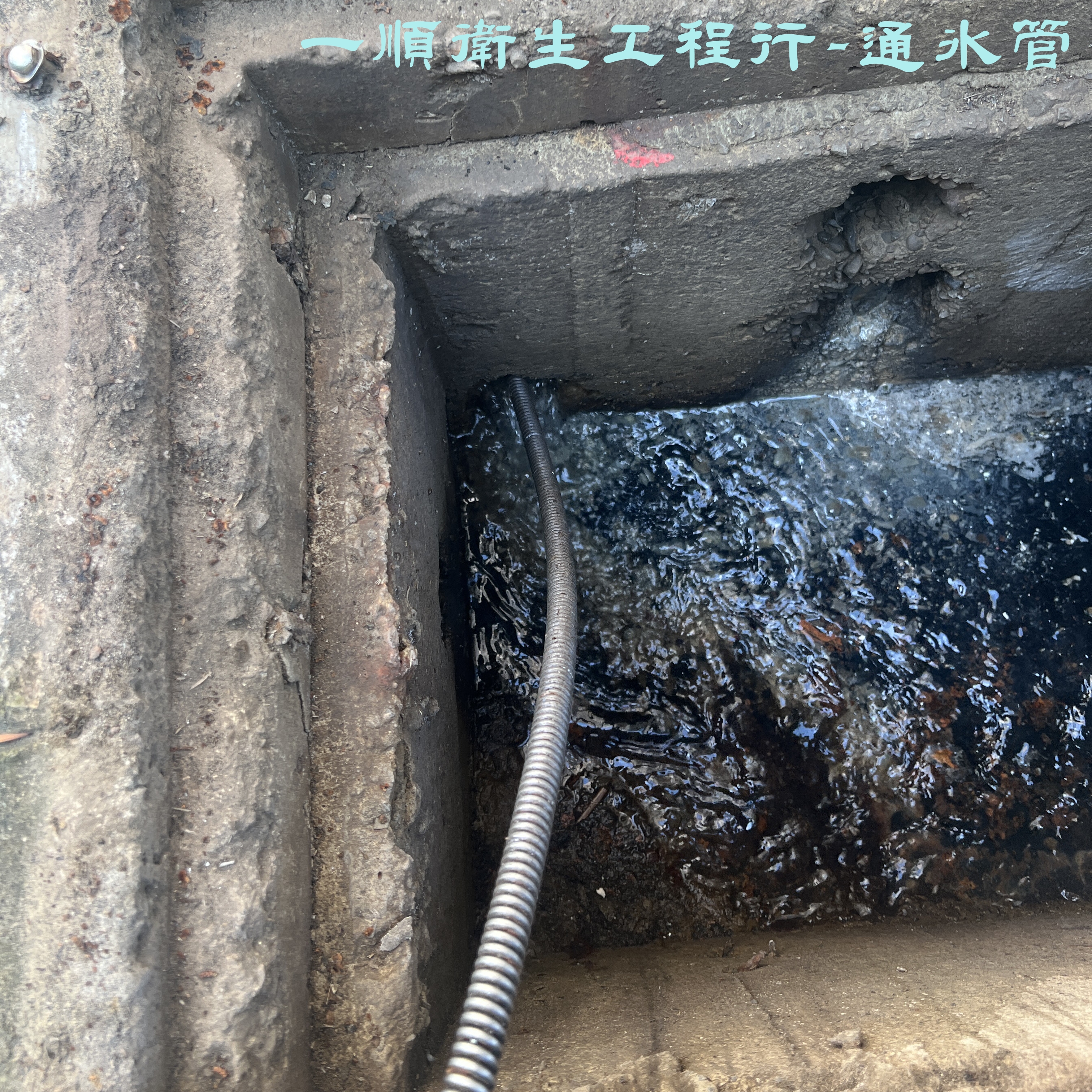 一順包通