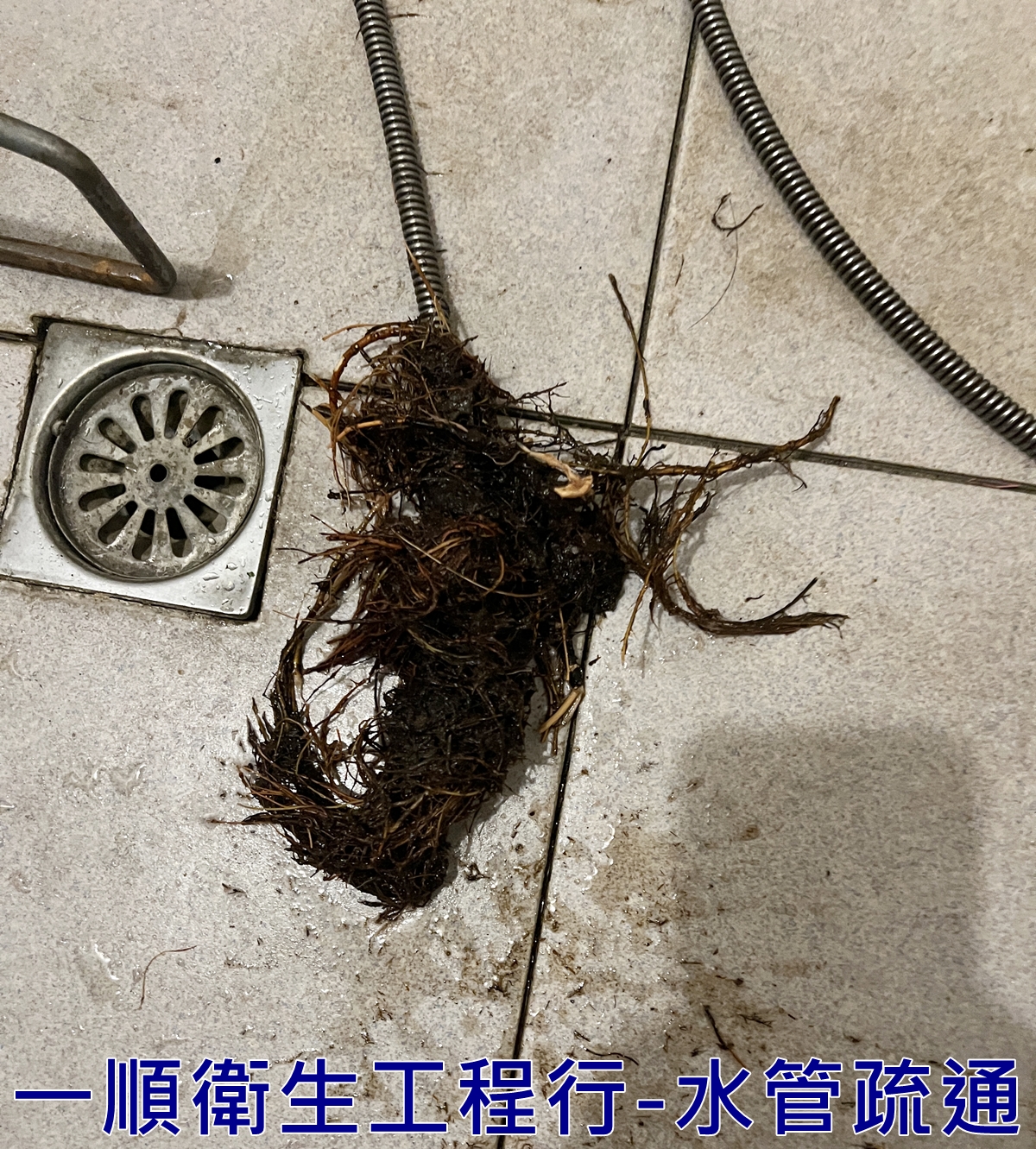 一順包通