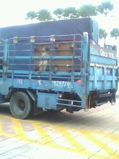 夢時代廣場跨年布置