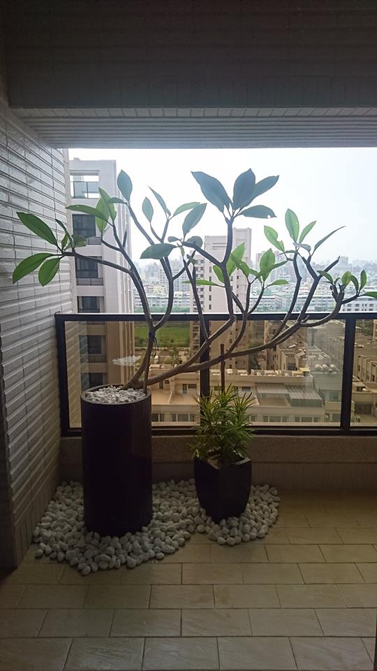 飯店套房陽台造景