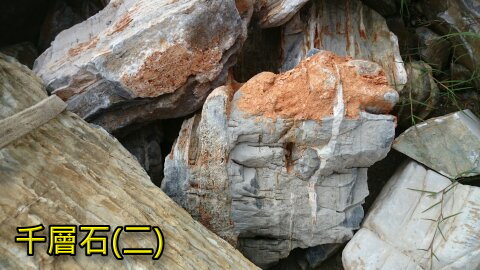 千層石2
