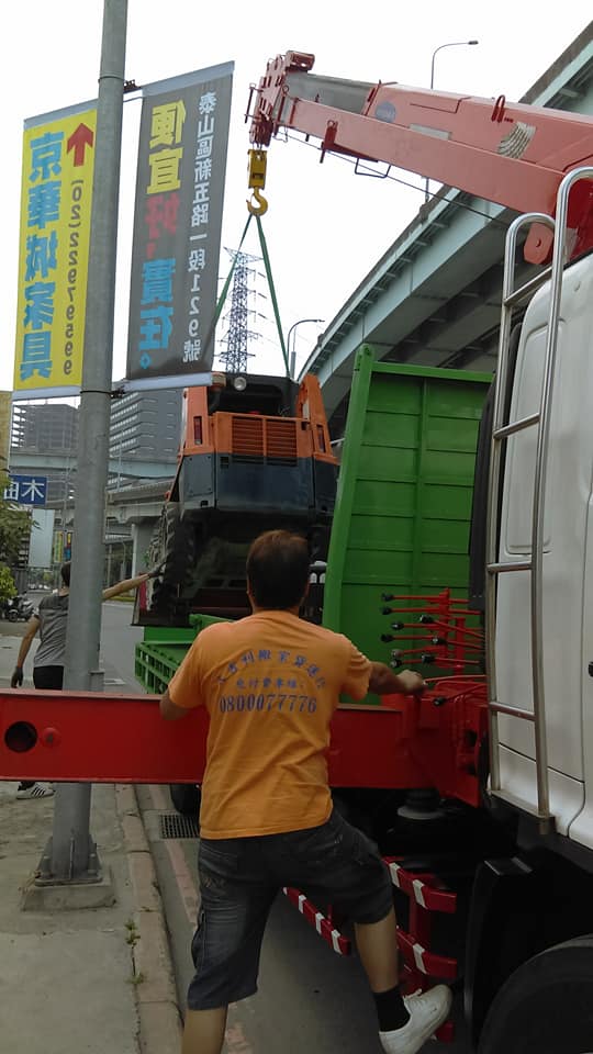 新莊吊運山貓