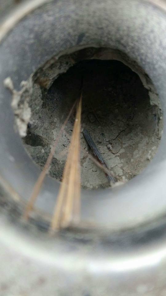 屏東驗屋現場地排孔缺失/地排孔內有工業木屑