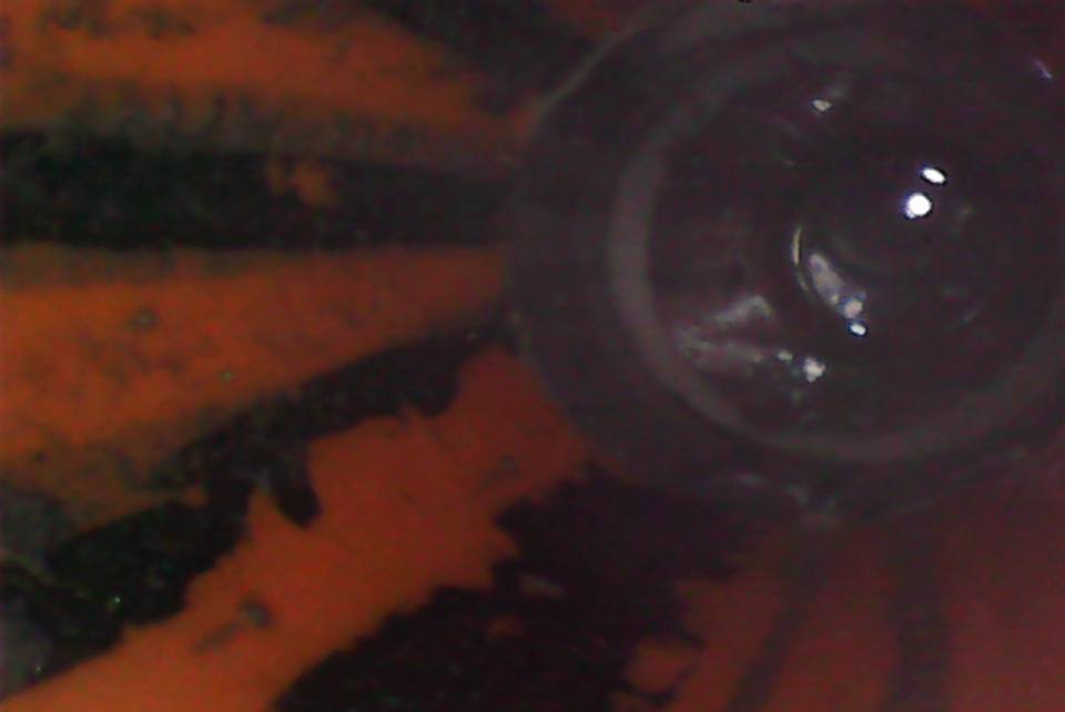 嘉義驗屋地排孔缺失/大樓新成屋地排孔裡有飲料瓶蓋