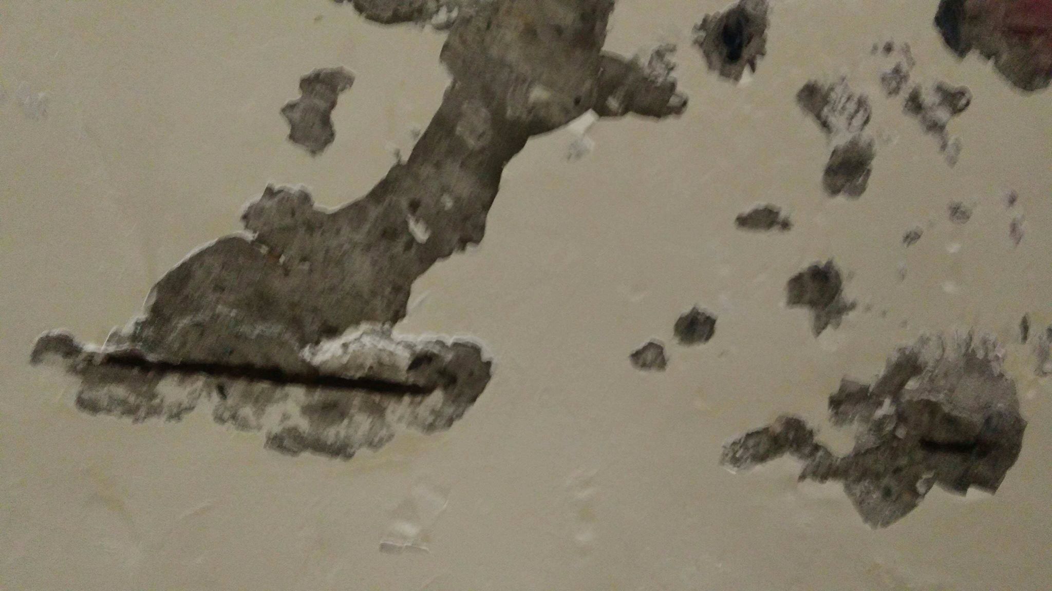 老舊公寓天花板鋼筋腐蝕