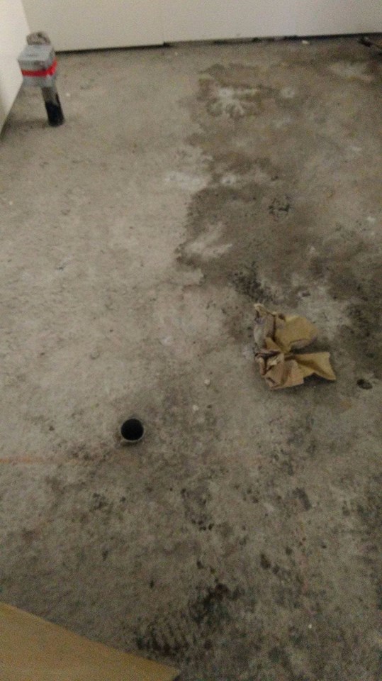 浴室地板施作監工