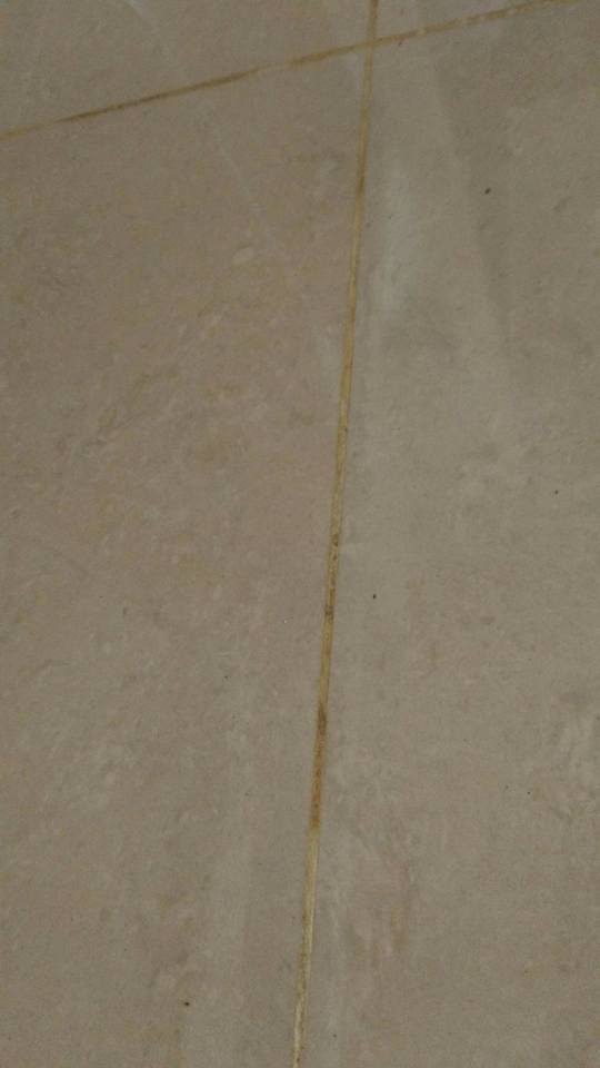 地磚填縫土發霉