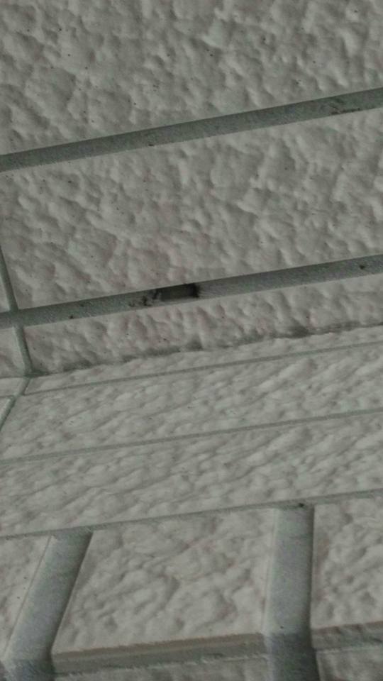 陽台二丁掛填縫土破洞