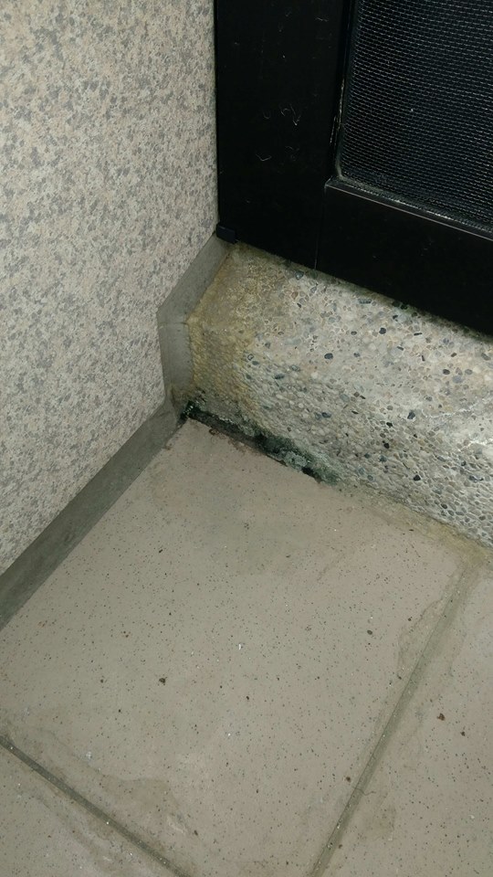 落地窗銜接抿石及地磚發霉