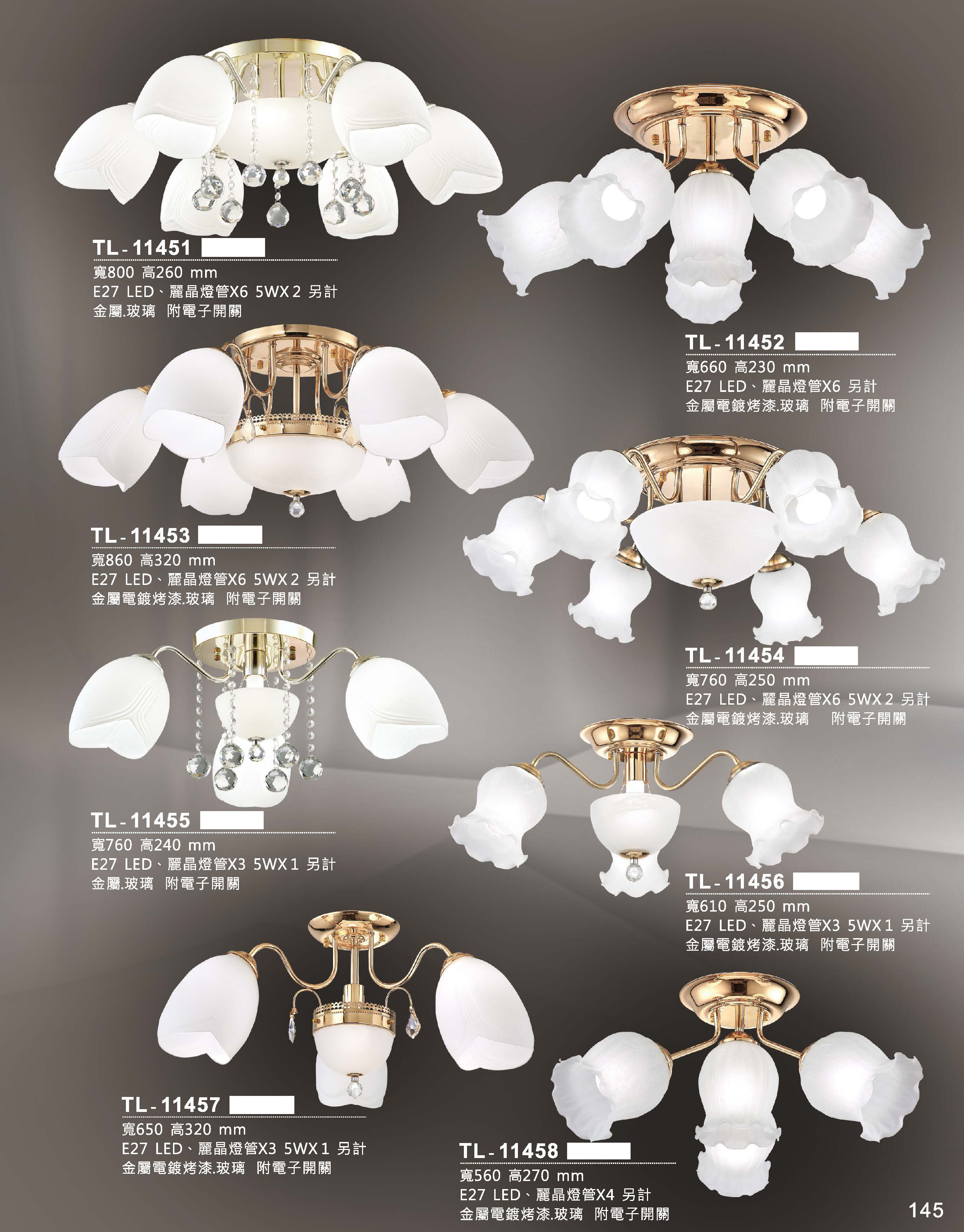 藝術吊燈TL-11451