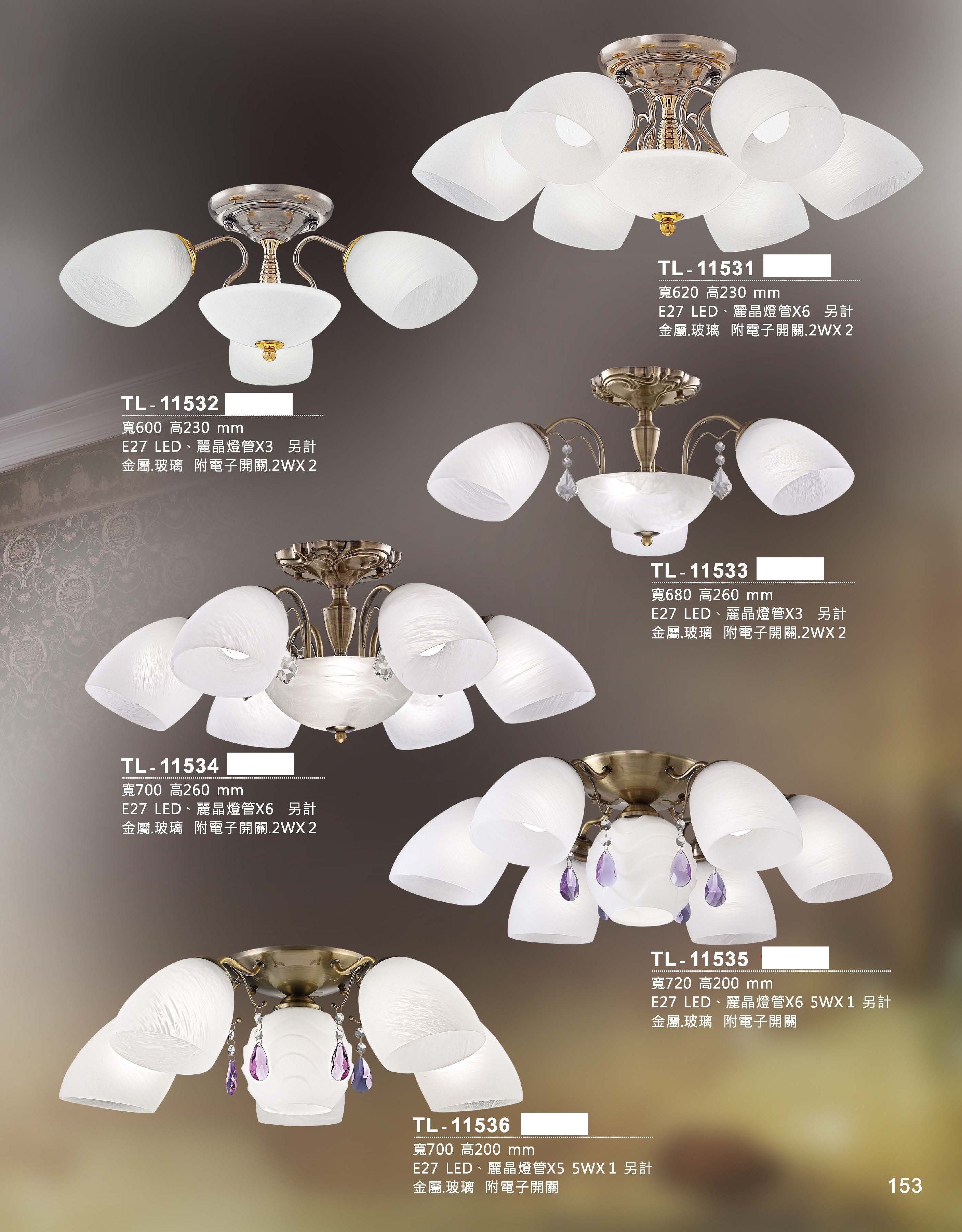 藝術吊燈TL-11531