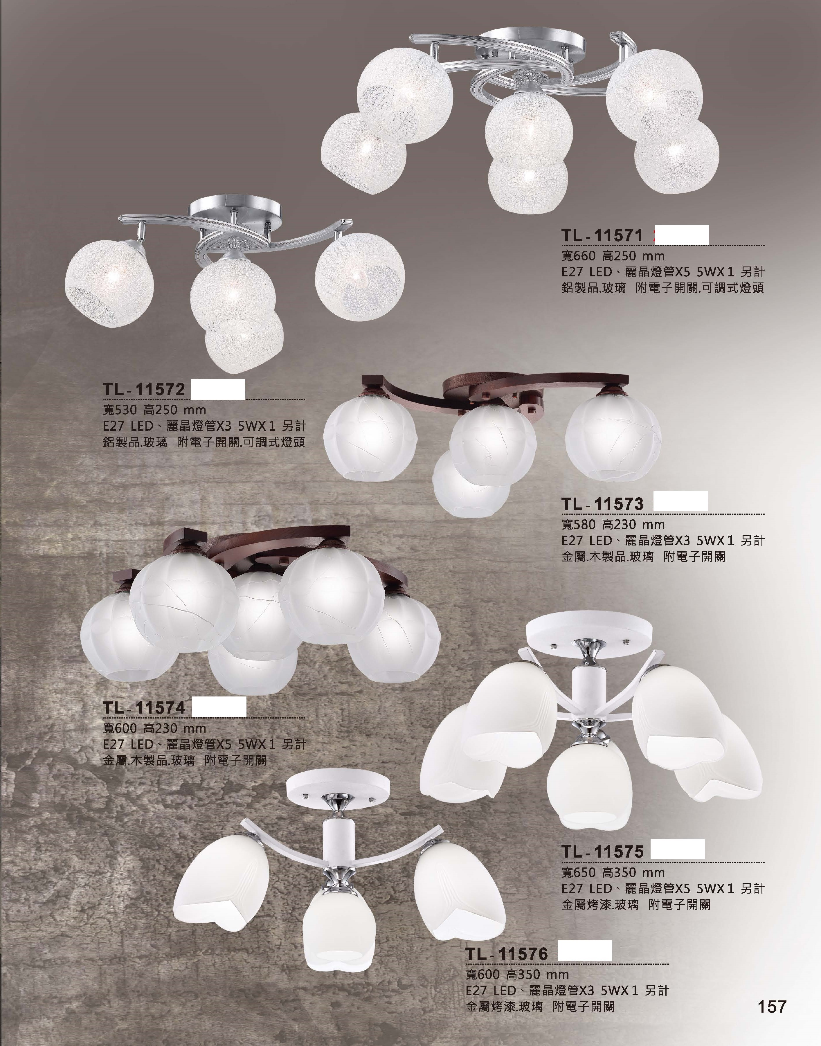 藝術吊燈TL-11571