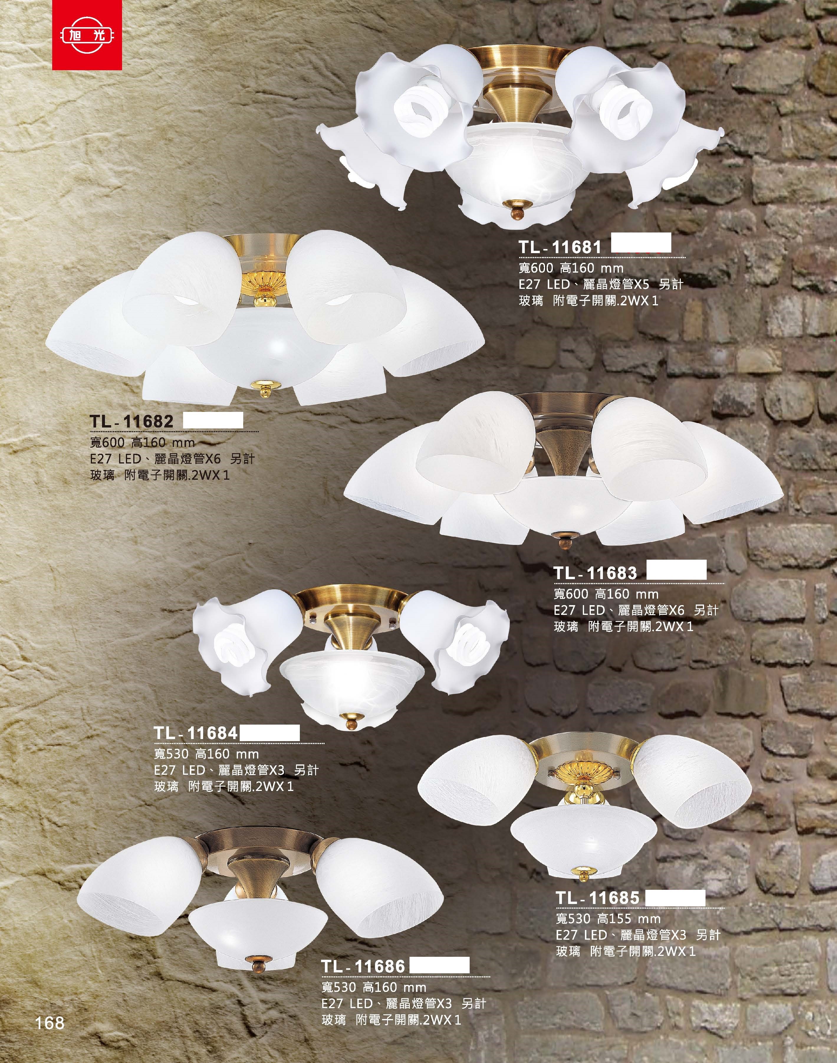 藝術吊燈TL-11681