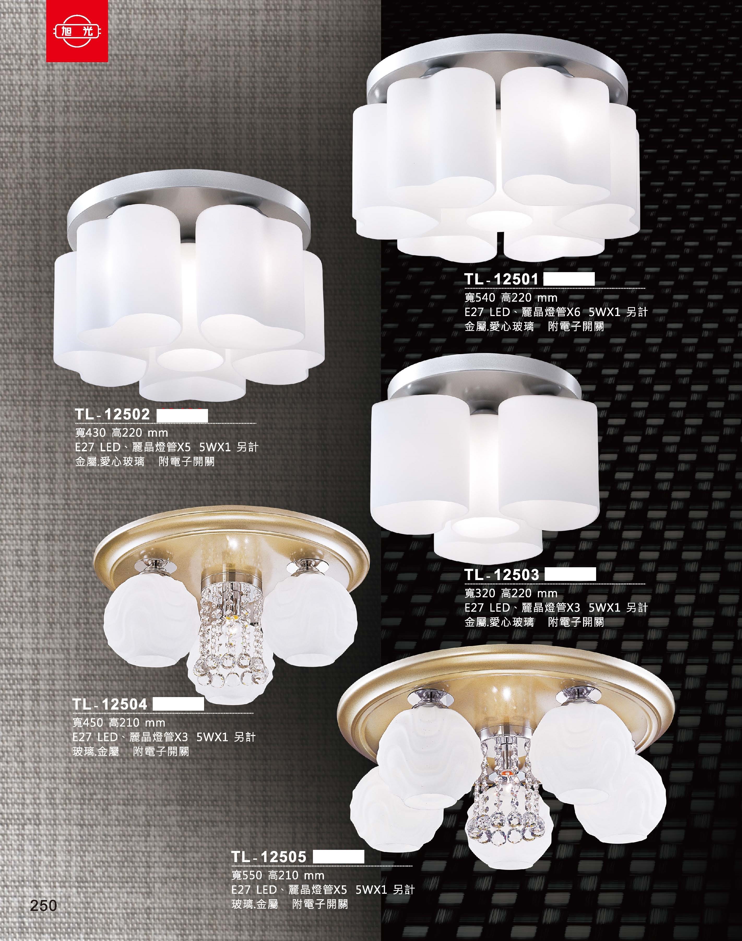 藝術吊燈TL-12501