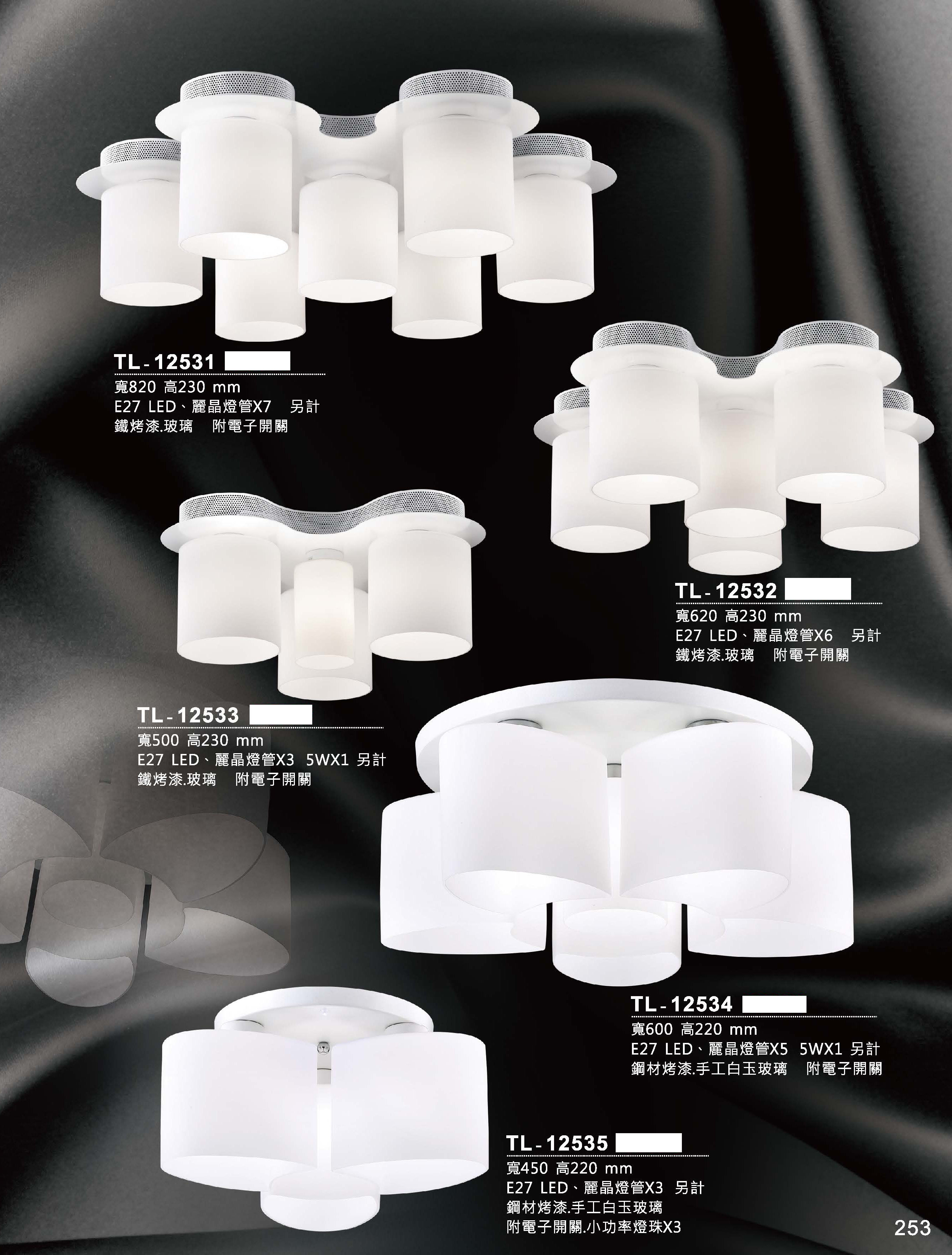 藝術吊燈TL-12531