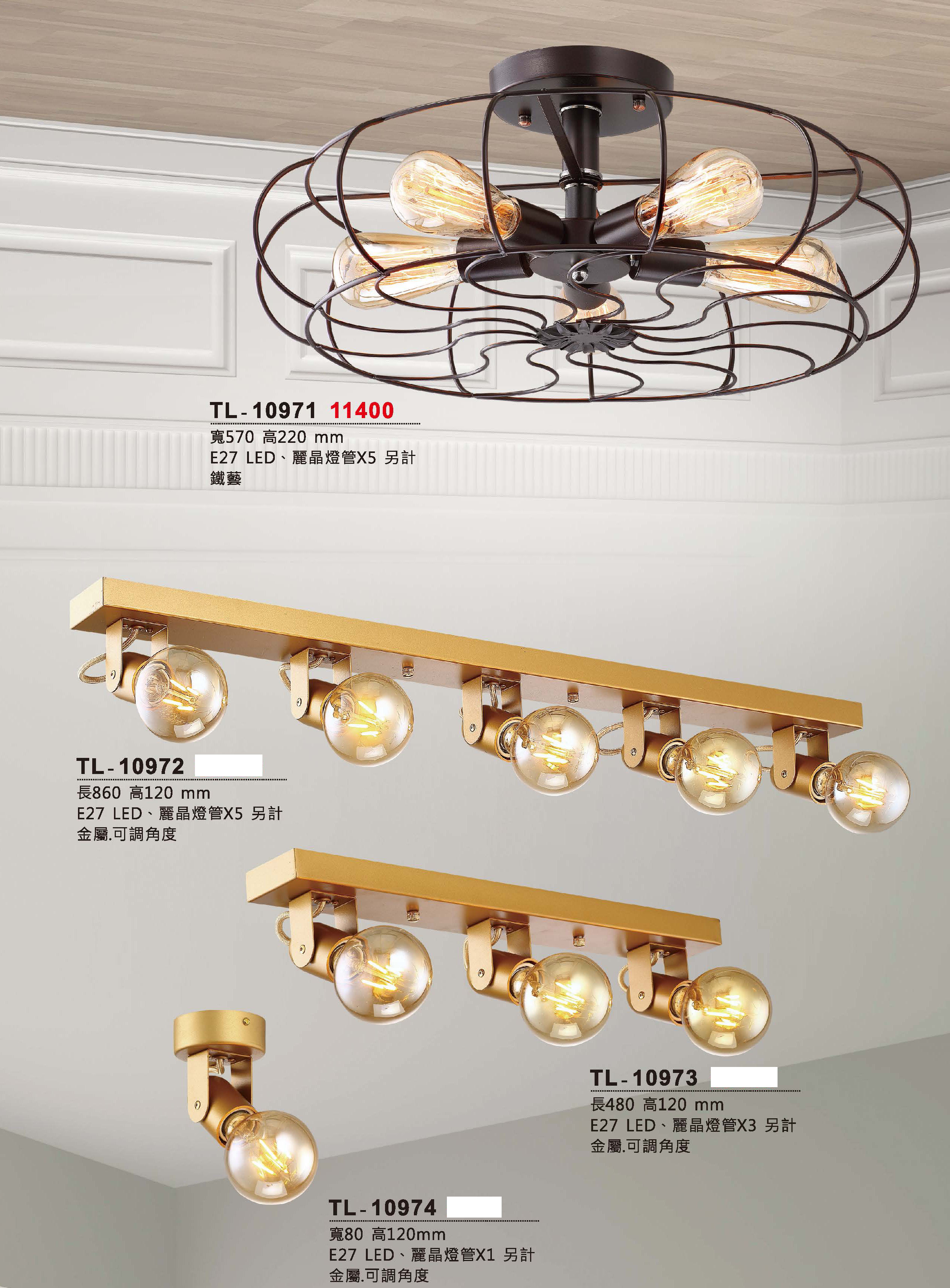 藝術吊燈TL-10971