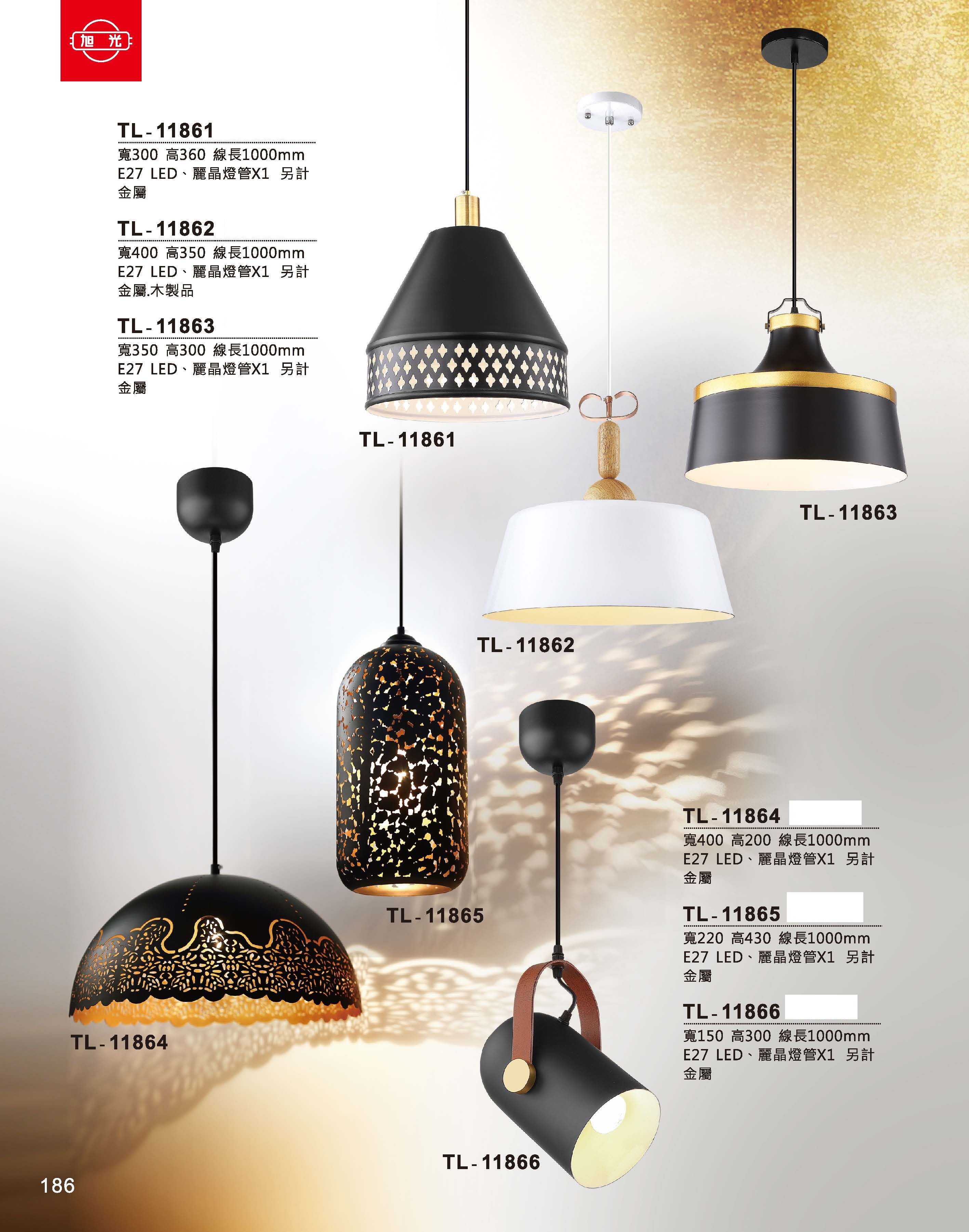 藝術吊燈TL-11861