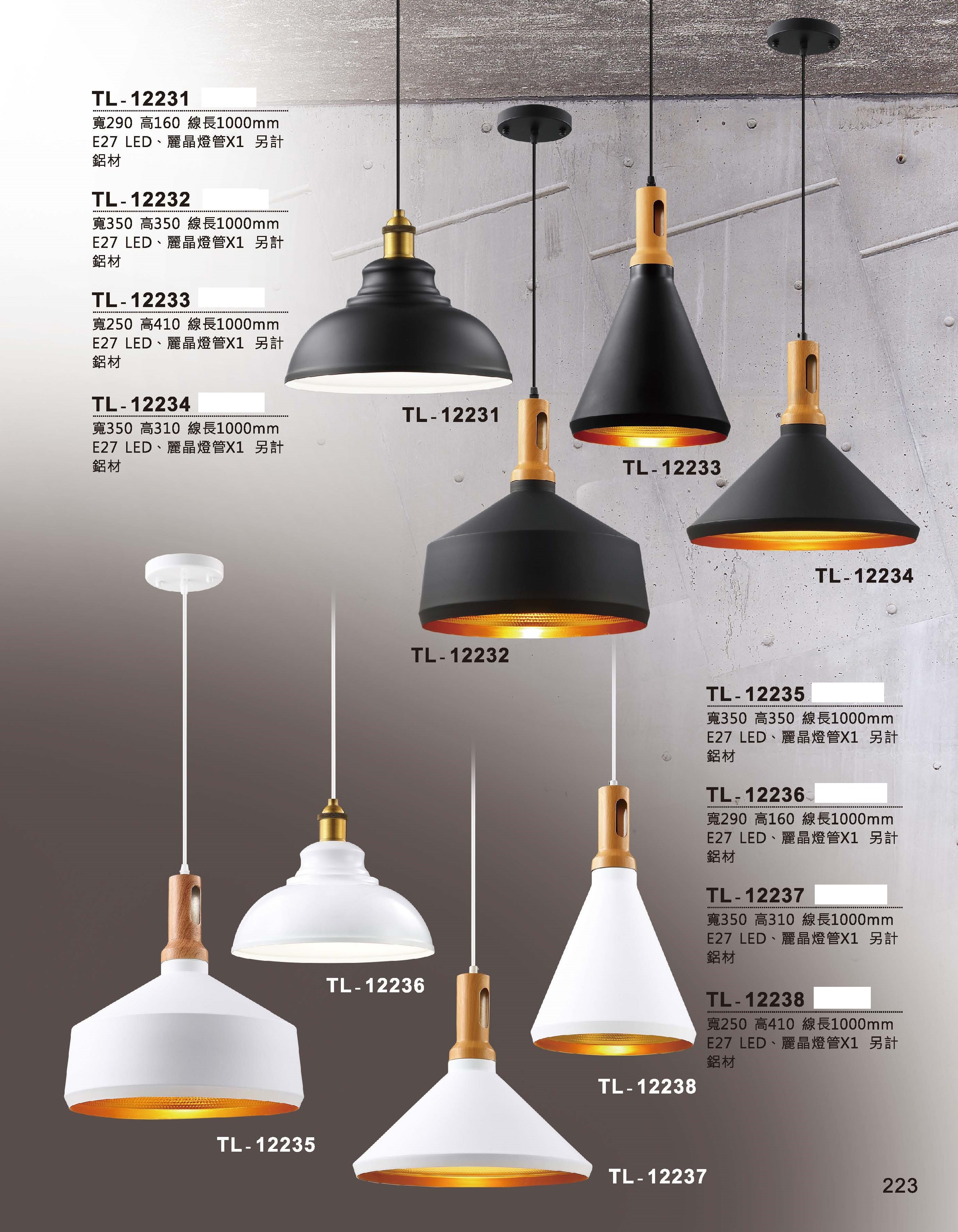 藝術吊燈TL-12231