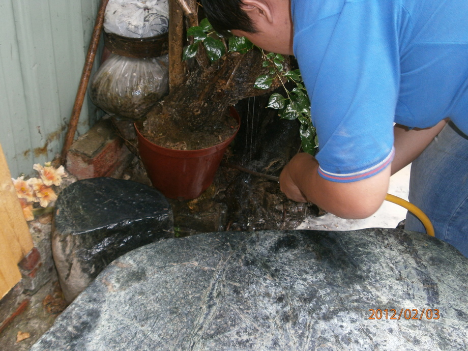 餐飲業消毒除蟲