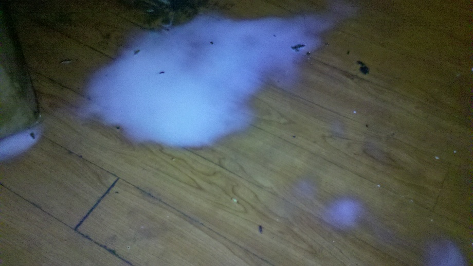 餐飲業消毒除蟲