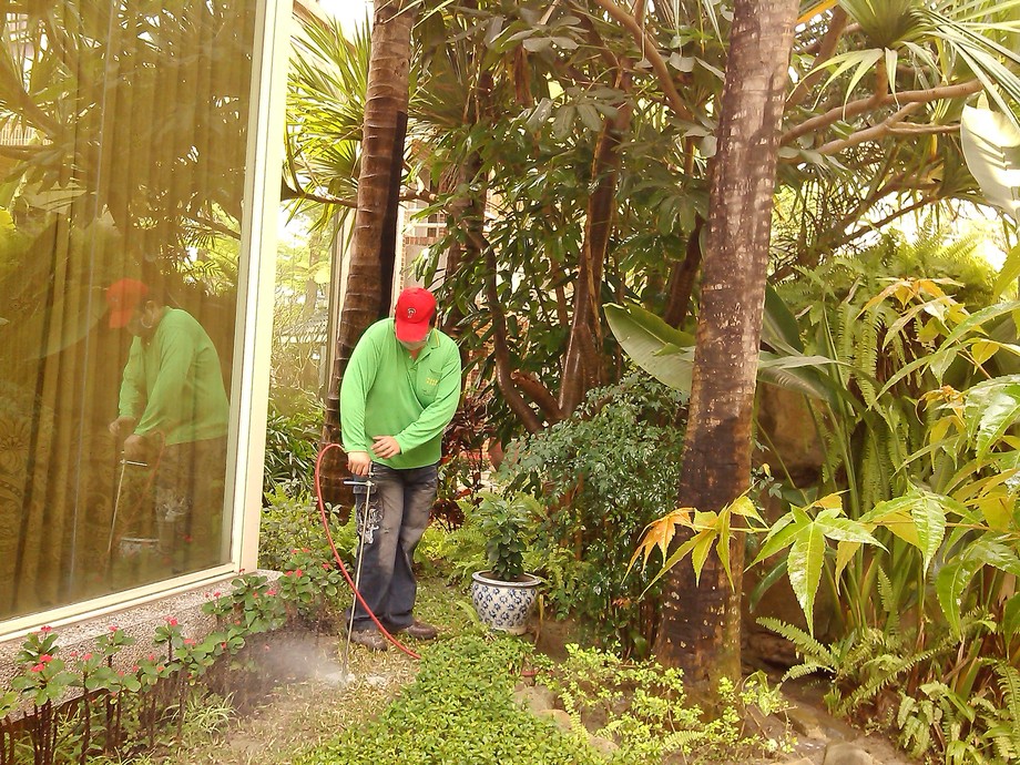 大樓中庭花園施工照片土壤灌注法