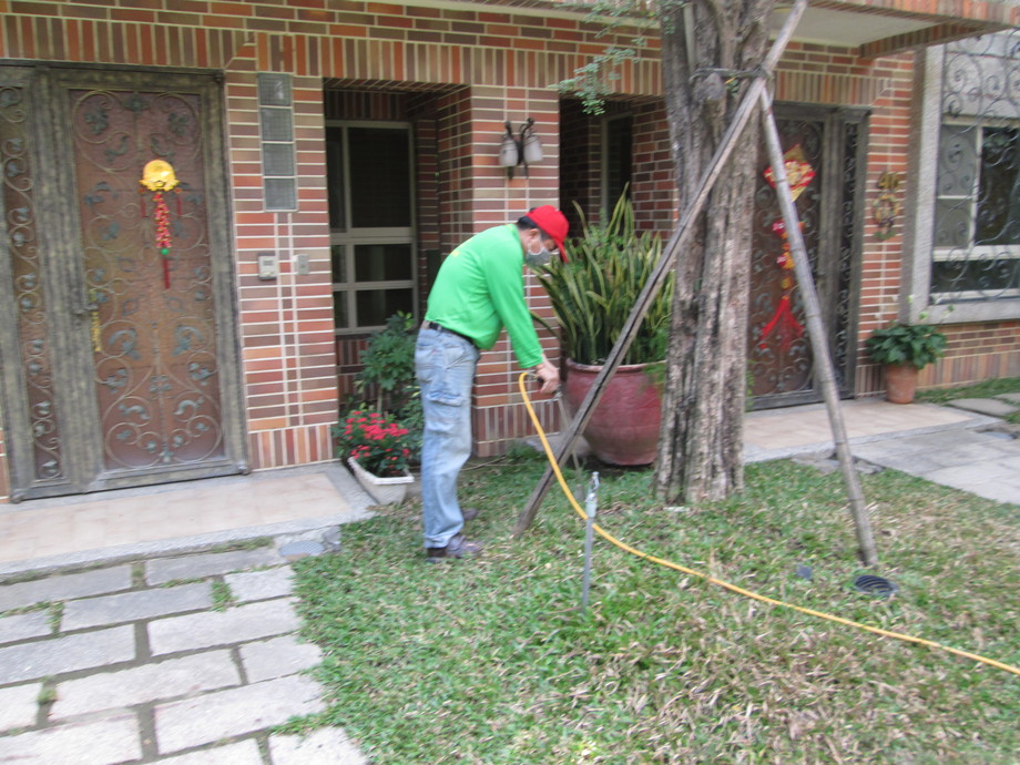 大樓中庭花園施工照片土壤灌注法