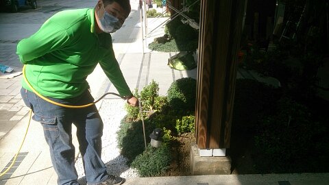 花園除蟲工程