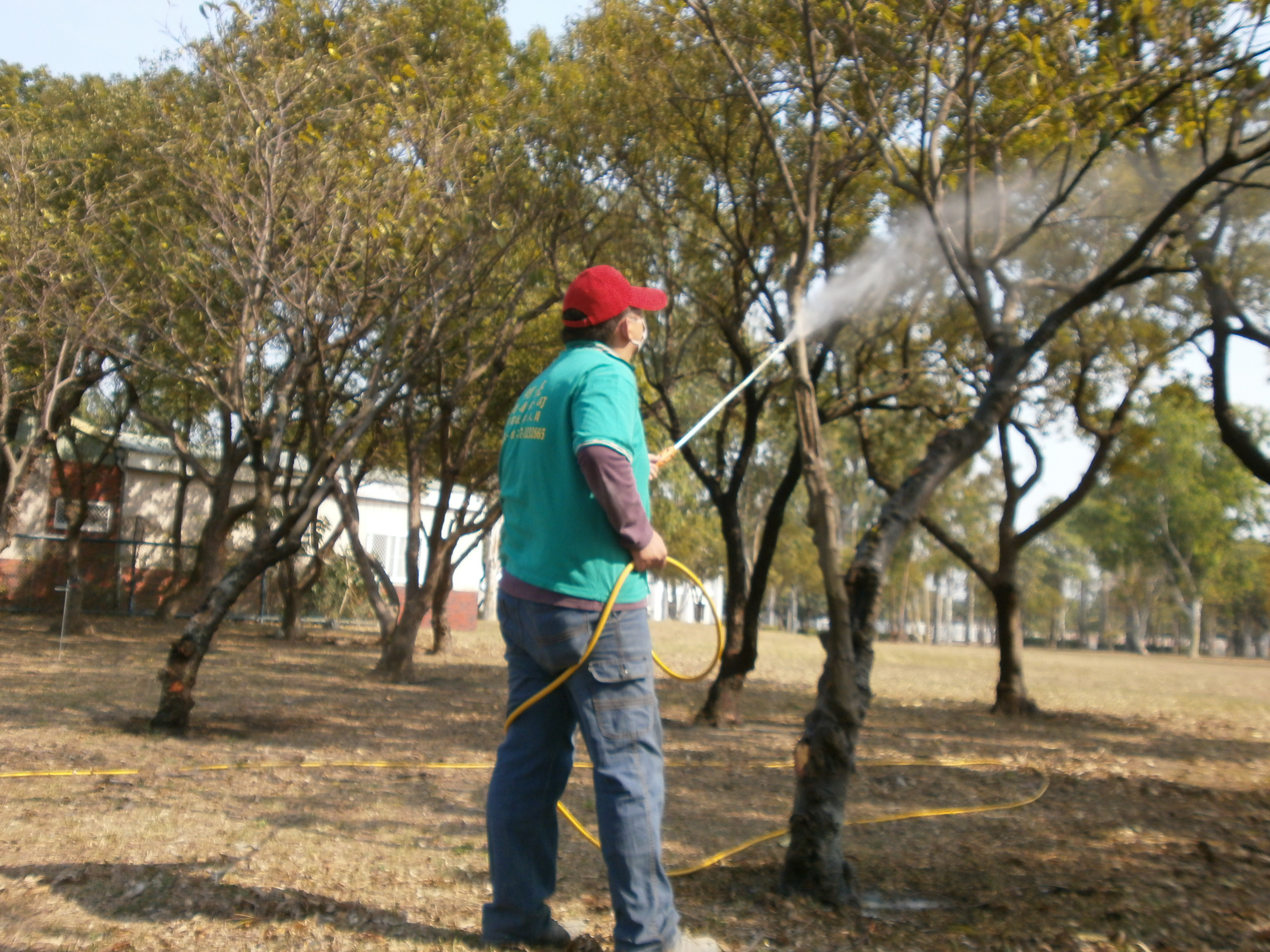 花園除蟲工程