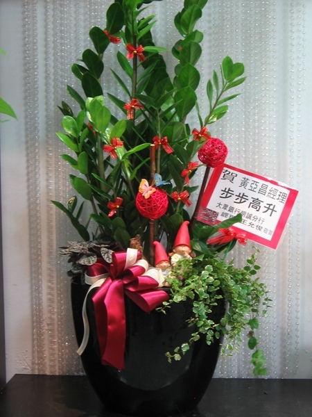 綠化盆栽-8