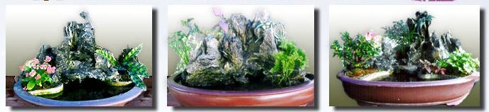 園藝盆栽、園藝景觀設計