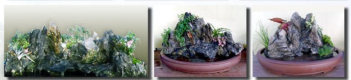 園藝造景、園藝資材、園藝盆栽