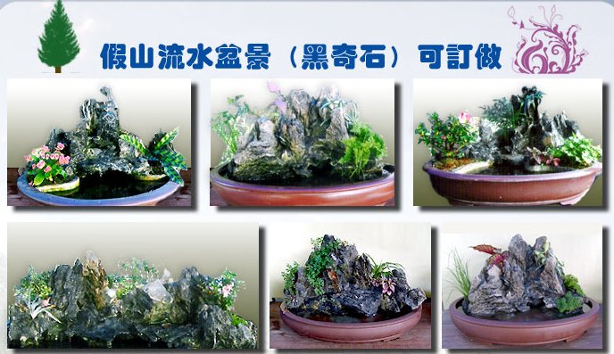 假山流水盆景
