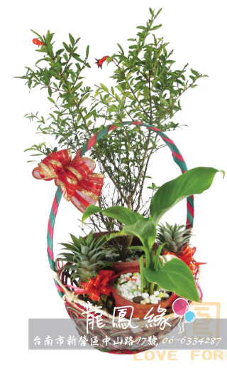 女方訂婚-蓮蕉組合