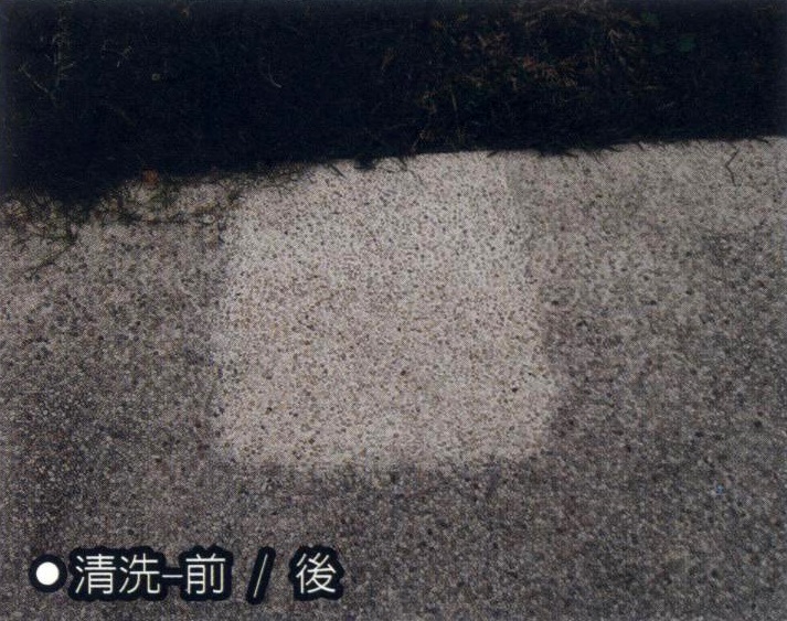 台中地毯清洗,台中地毯清潔,台中地毯保養