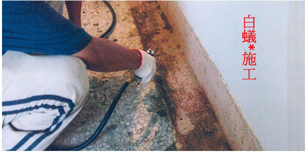 白蟻驅除防治施工