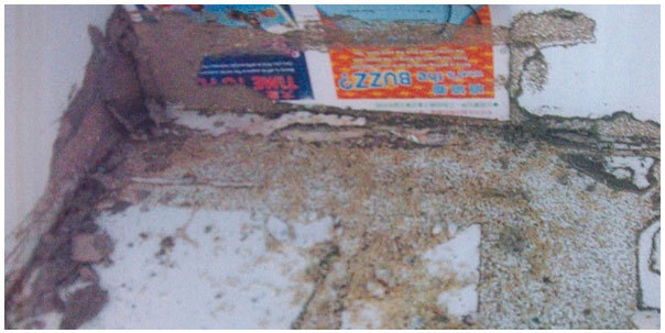 白蟻驅除防治施工