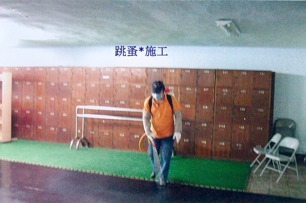 跳蚤驅除防治施工