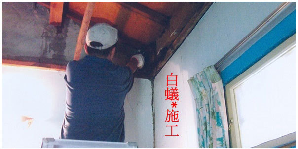 白蟻驅除防治施工