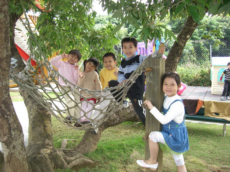 孩子們每天在荔枝樹下玩耍