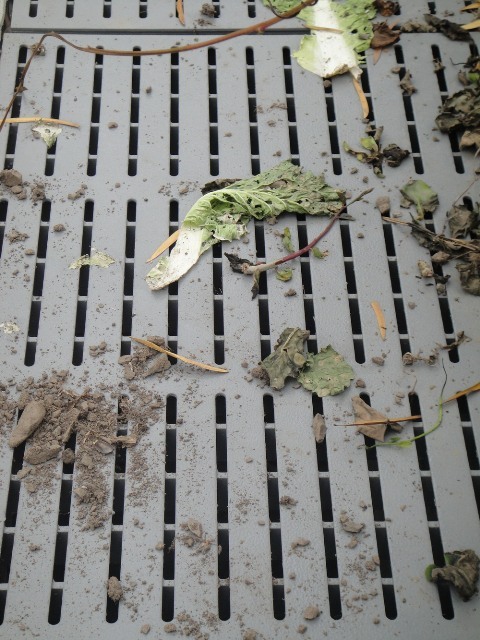 樹葉及小石頭也不易掉落