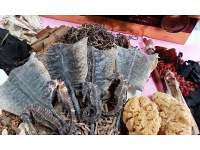 恒昇堂中藥房-undefined