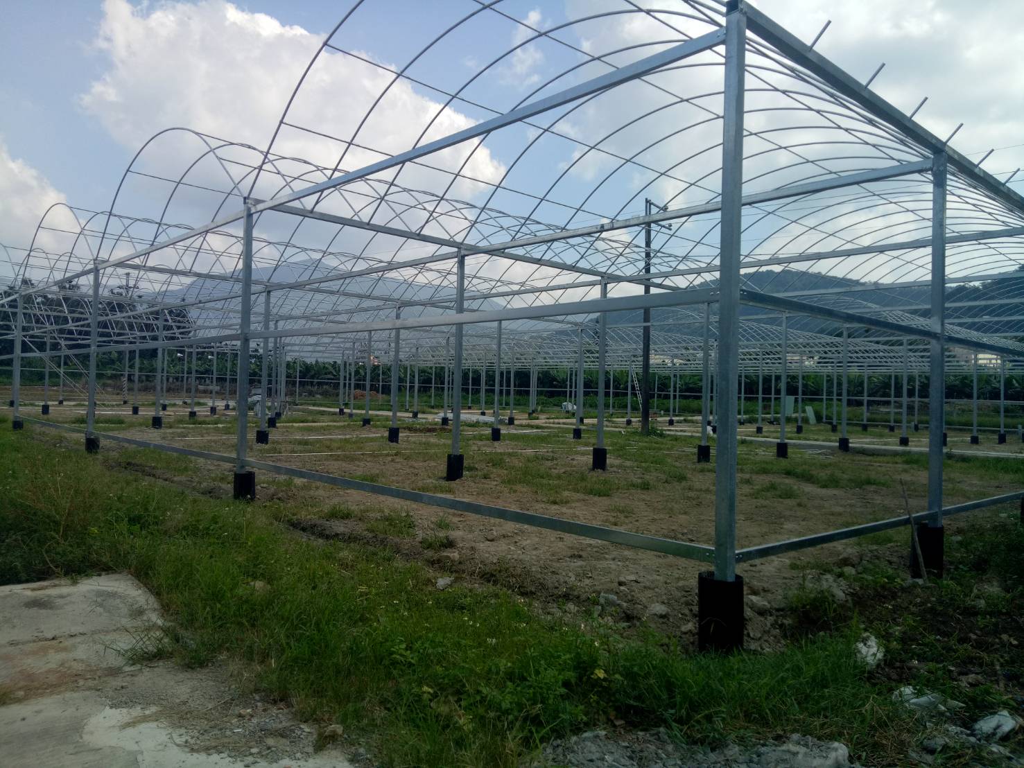 溫室 加高加強型簡固 電動天窗