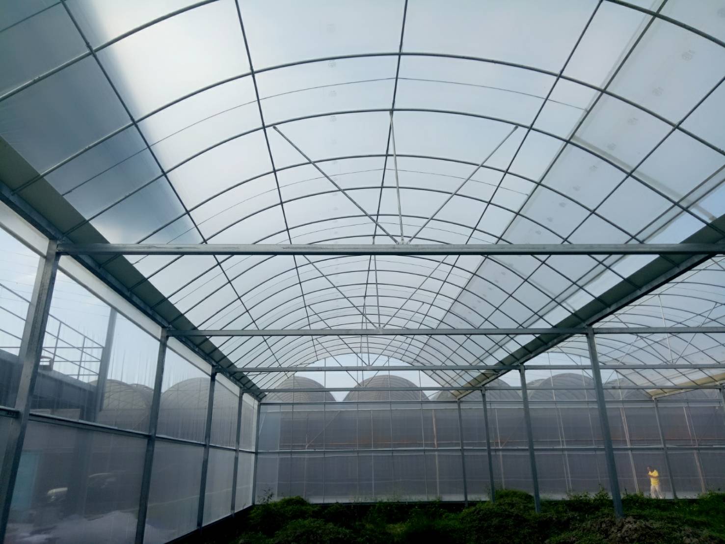 溫室工程