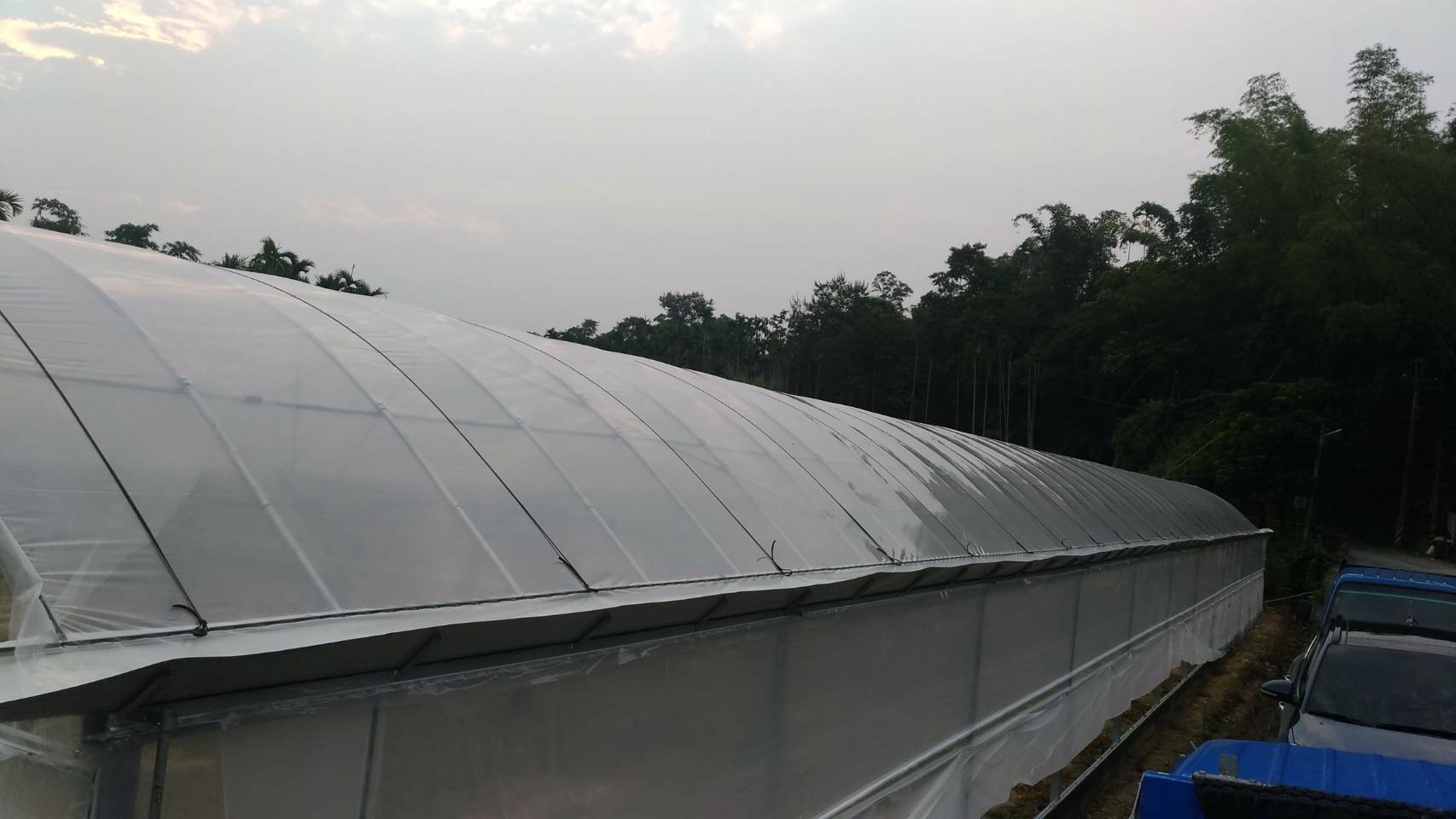 溫室工程 加強型簡固 電動天窗