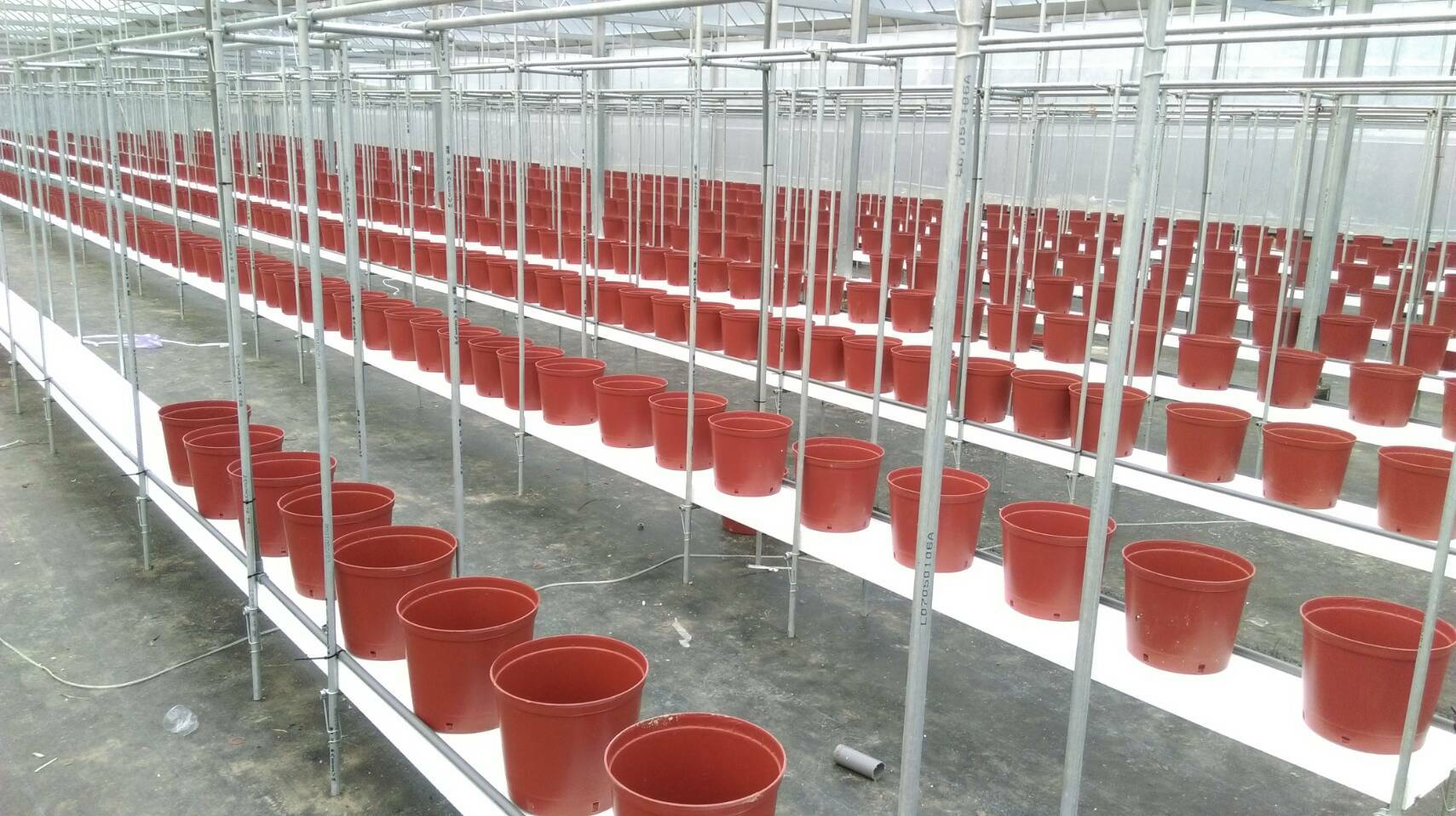 溫室內床設計施工