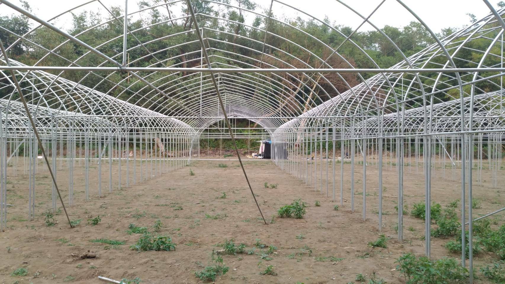 簡易溫室工程施工